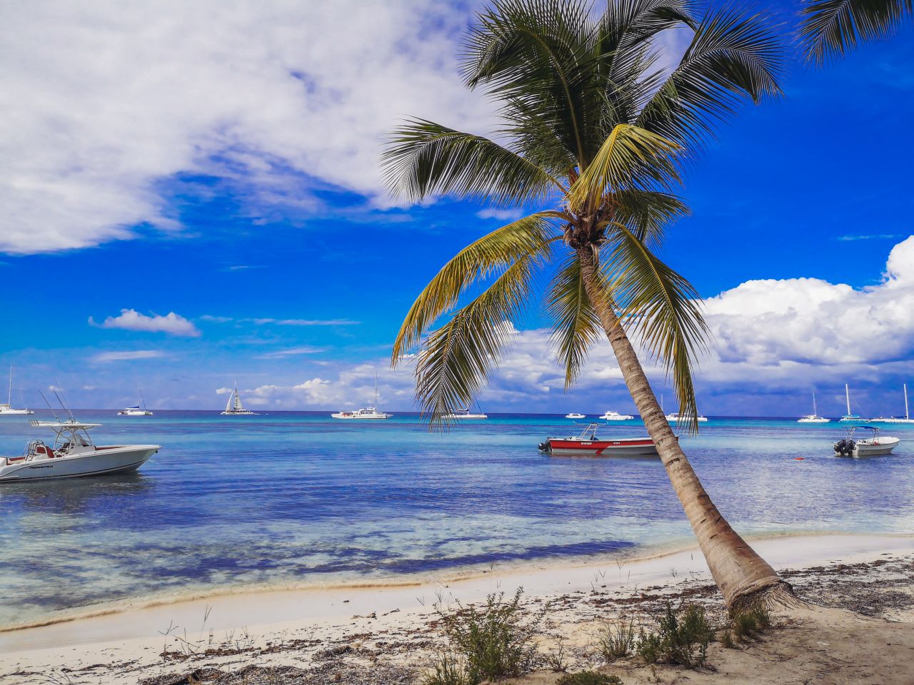 about-01 Serene tropical beach in La Altagracia with palm trees and boats under a bright blue sky.