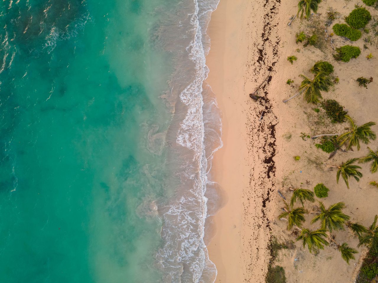 portfolio-01 A captivating aerial view of a tropical beach with lush greenery and turquoise waters.